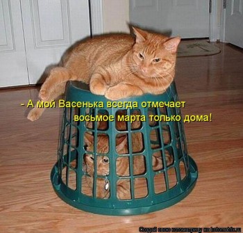 Любимая кошатинка  - kotomatritsa_N4.jpg