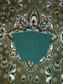 Быстрее моли - 5 - CAM00090.jpg