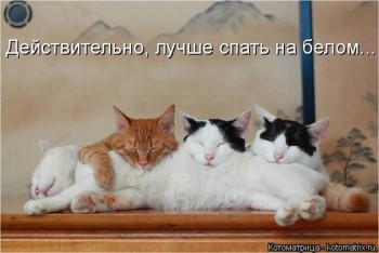 Любимая кошатинка  - IlgNAnakKcA.jpg