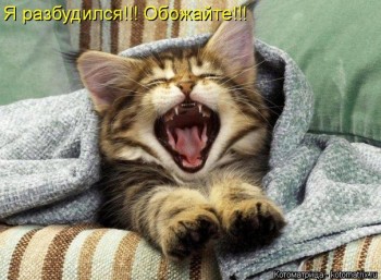 Любимая кошатинка  - U6sSVPPNTmg.jpg