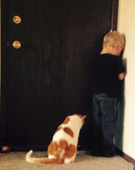 Любимая кошатинка  - iO6cfWqLMEg.jpg