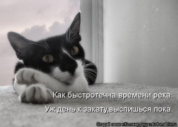 Любимая кошатинка  - LM2jTHSk800.jpg