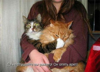 Любимая кошатинка  - ZFoO-umPbho.jpg