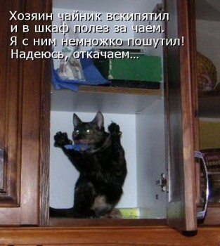 Любимая кошатинка  - vUfqO5Tgkyk.jpg