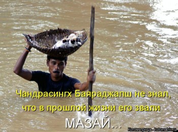 Любимая кошатинка  - kotomatritsa_4V.jpg