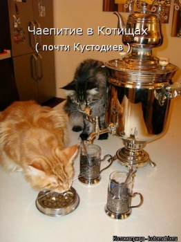 Любимая кошатинка  - kotomatritsa_Cb (1).jpg