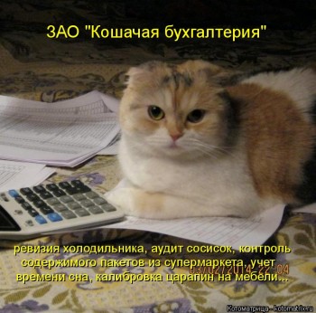 Любимая кошатинка  - kotomatritsa_WF.jpg