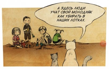 Любимая кошатинка  - yp120jy9ik8.jpg