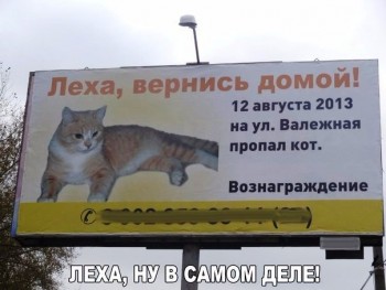 Любимая кошатинка  - 9Dz6z7JpGFo.jpg