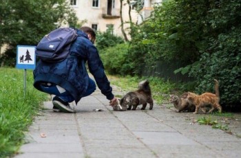 Любимая кошатинка  - 83QdrUtHjxg.jpg