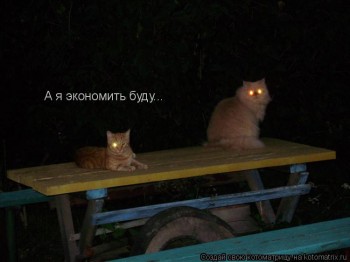 Страшнее кошки зверя нет  - 468932.jpg
