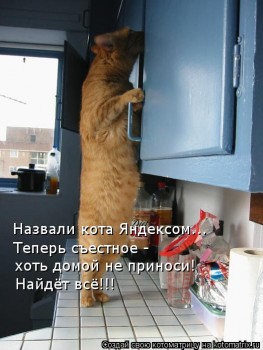 Страшнее кошки зверя нет  - 1142752.jpg