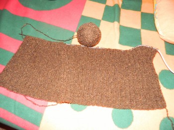 Быстрее моли - 5 - DSCN6219.JPG