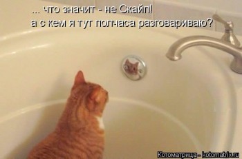 Страшнее кошки зверя нет  - kotomatritsa_p (1).jpg