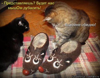 Любимая кошатинка  - kotomatritsa_Vp.jpg