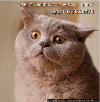 Любимая кошатинка  - Cp4FM1tePQc.jpg