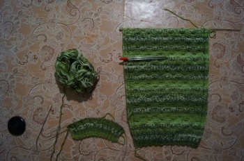 Быстрее моли - 5 - DSC06977.jpg