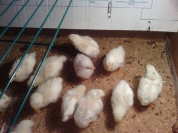 А это сегодня