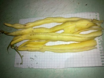 Кухонные разговоры флудим ТУТ -3 - 201510031983.jpg