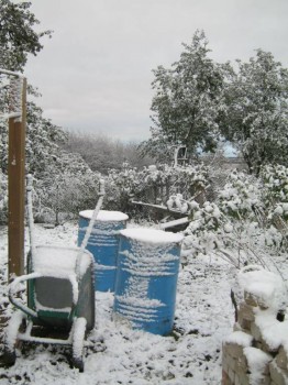 в нашем дворе 9 октября