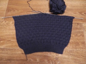 Быстрее моли - 5 - DSCN6258.JPG