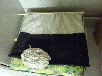 Быстрее моли - 5 - PA138149.JPG