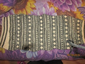 Быстрее моли - 5 - IMG_1305.JPG