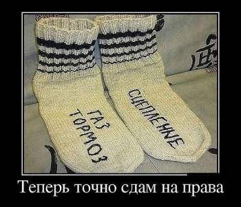 Автоледи - image.jpg