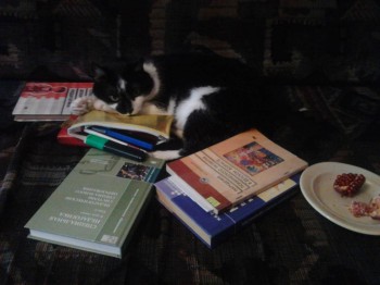 Любимая кошатинка  - Фото1471.jpg