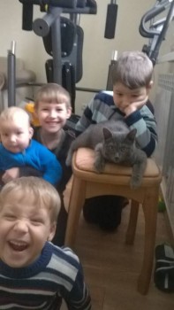 Любимая кошатинка  - WP_20151025_13_20_33_Pro.jpg