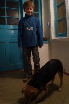 А мы купили щенка - DSC07023.JPG