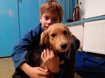 А мы купили щенка - KZLqyV3PCt4.jpg