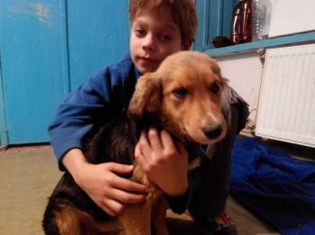 А мы купили щенка - _MpnQRiYfO8.jpg