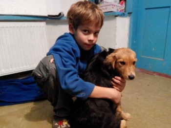 А мы купили щенка - vjvPiLZ1-k0.jpg