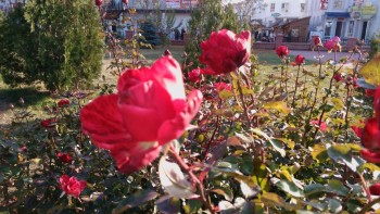 А что у нас с погодой? - 5 - IMG_20151105_152858.jpg