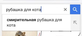 Любимая кошатинка  - nkkFjSMXCzI.jpg