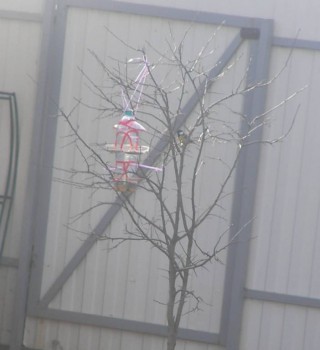 Поделки, карвинг и другое - SANY0136.JPG