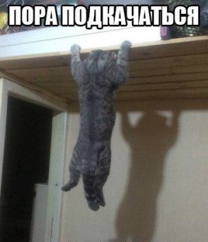 Любимая кошатинка  - Ebnk2i-BYa0.jpg