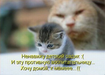 Любимая кошатинка  - KToJY77vVlA.jpg