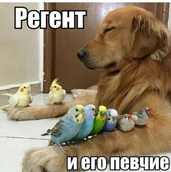 ВесЁлыЕ кАртинКи про нОтки, МУзыКу и т.п. - FagPQTb1F7E.jpg