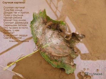 А что у нас с погодой? - 5 - image.jpg