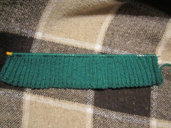 Совместное онлайн-вязание Бриджит  - IMG_3846.JPG