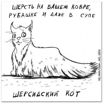 Любимая кошатинка  - jKg69YK-R3I.jpg