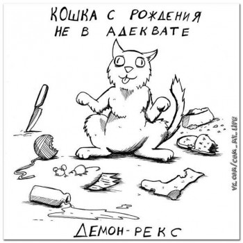 Любимая кошатинка  - jLGrDLLWG8w.jpg