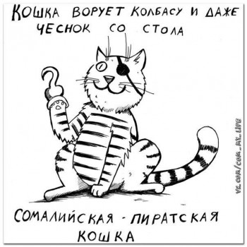 Любимая кошатинка  - YT79M92ajqc.jpg