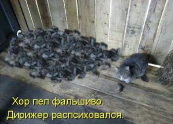 ВесЁлыЕ кАртинКи про нОтки, МУзыКу и т.п. - TK0kmoj-VPk.jpg