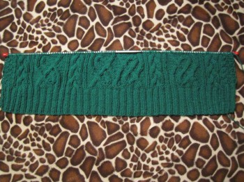 Быстрее моли - 5 - IMG_3849.JPG