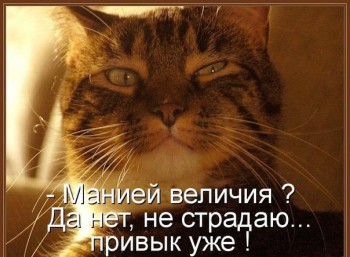 Любимая кошатинка  - YDieoiGG3Nk.jpg