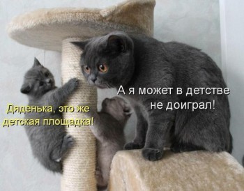 Любимая кошатинка  - 68fdoocdOu0.jpg