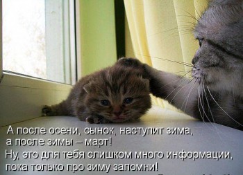 Любимая кошатинка  - GKdVHBDo8pI.jpg